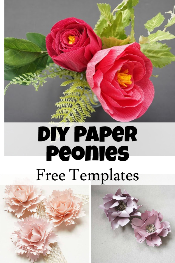 Free Paper Peonies Template